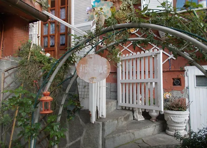 Il Granello Di Senape Bed & Breakfast Palazzo Canavese